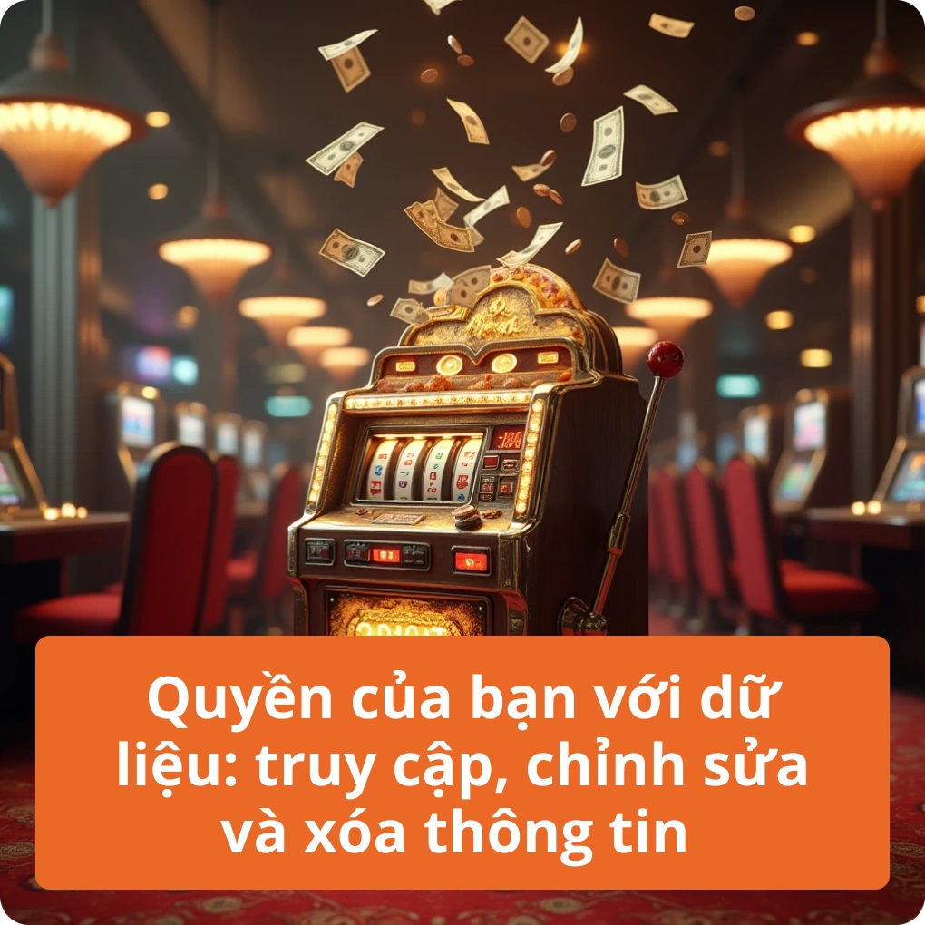 Quyền của bạn với dữ liệu: truy cập, chỉnh sửa và xóa thông tin – Hướng Dẫn Quyền của bạn với dữ liệu: truy cập, chỉnh sửa và xóa thông tin